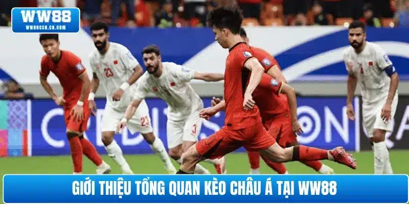 Giới thiệu tổng quan kèo Châu Á tại WW88